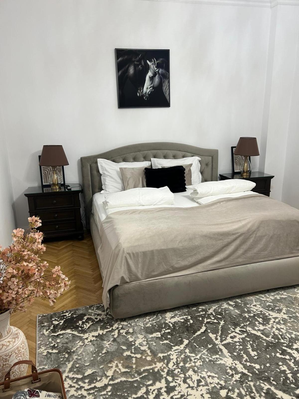 Rennes Apartment Сібіу Екстер'єр фото
